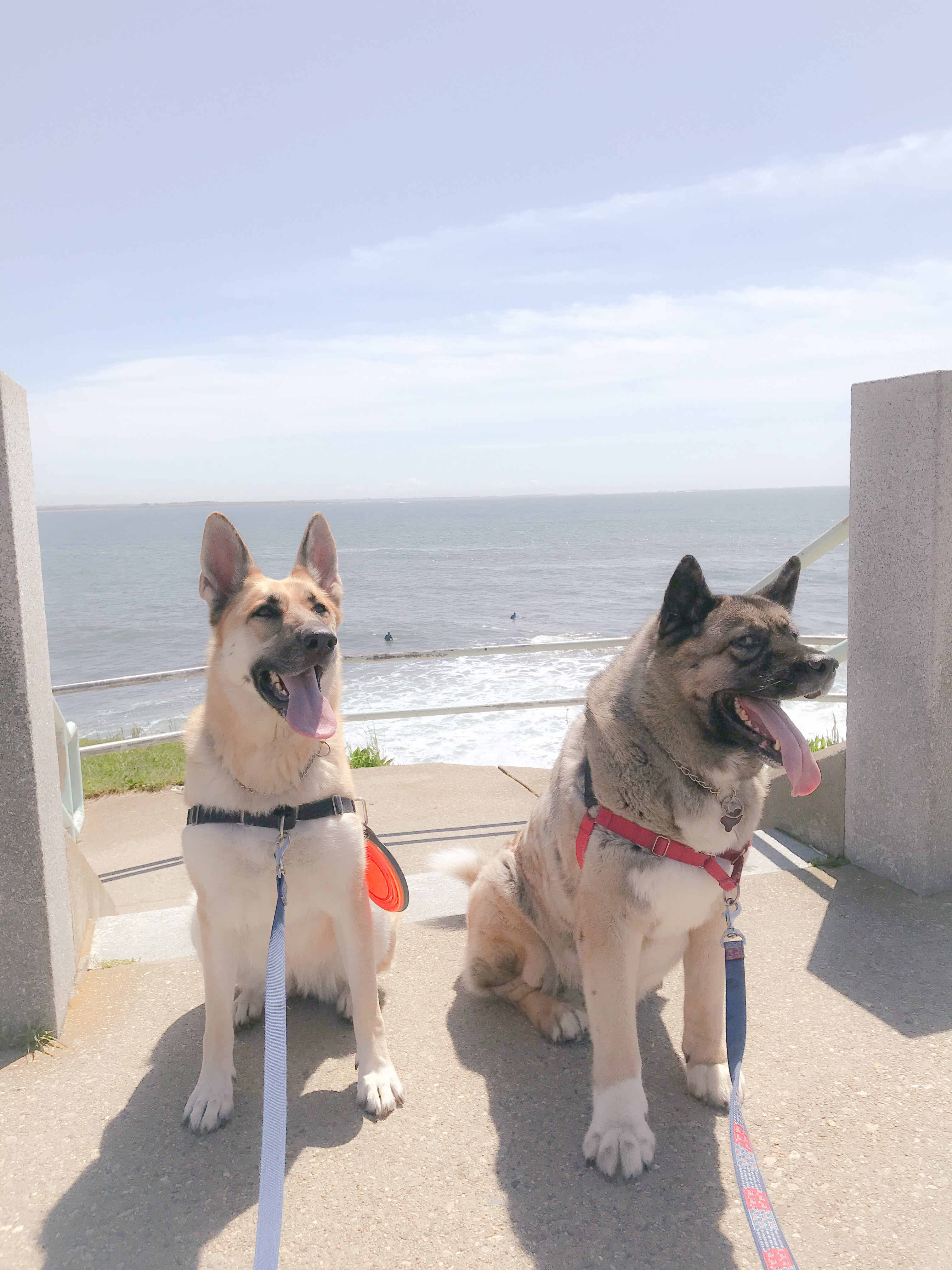 d82119a3-0be8-4d90-a0b4-db384db1bce6