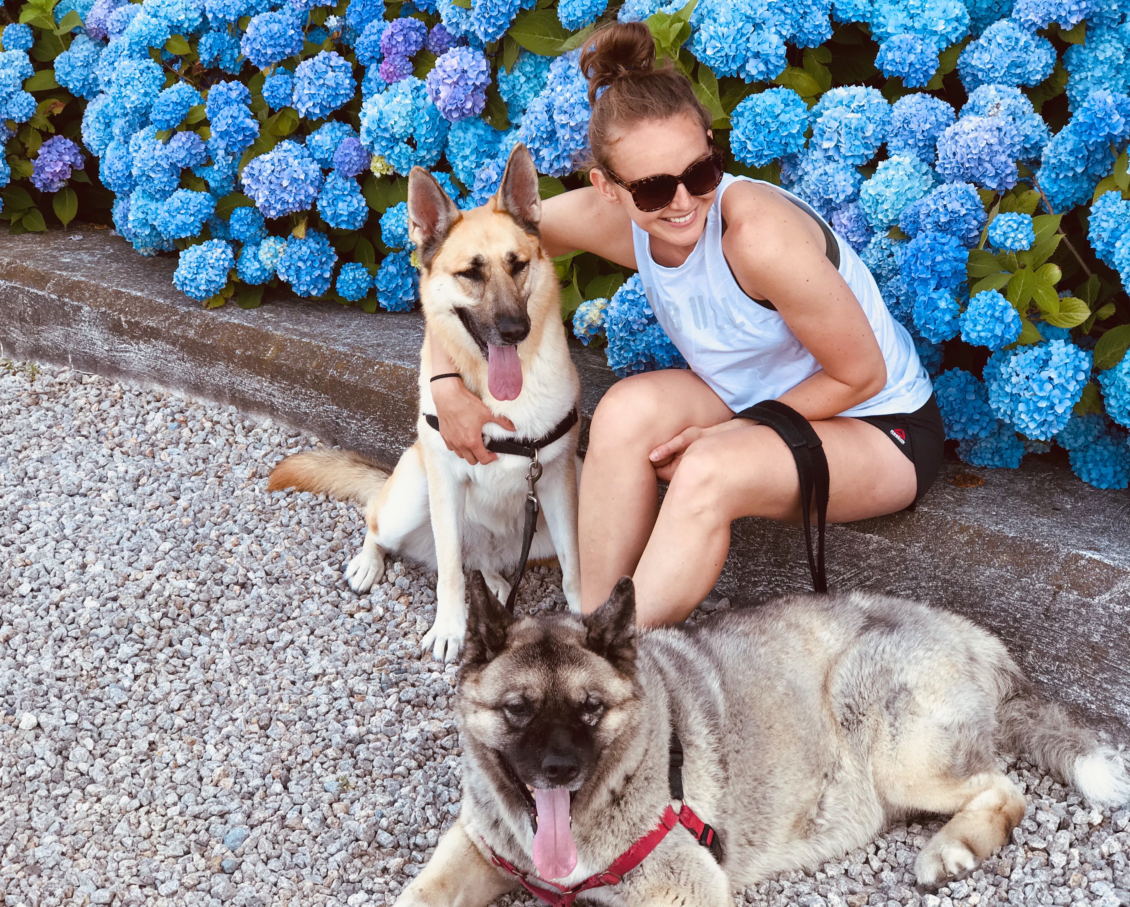 b5c450e0-deab-4995-85c4-f6ccad82f52a