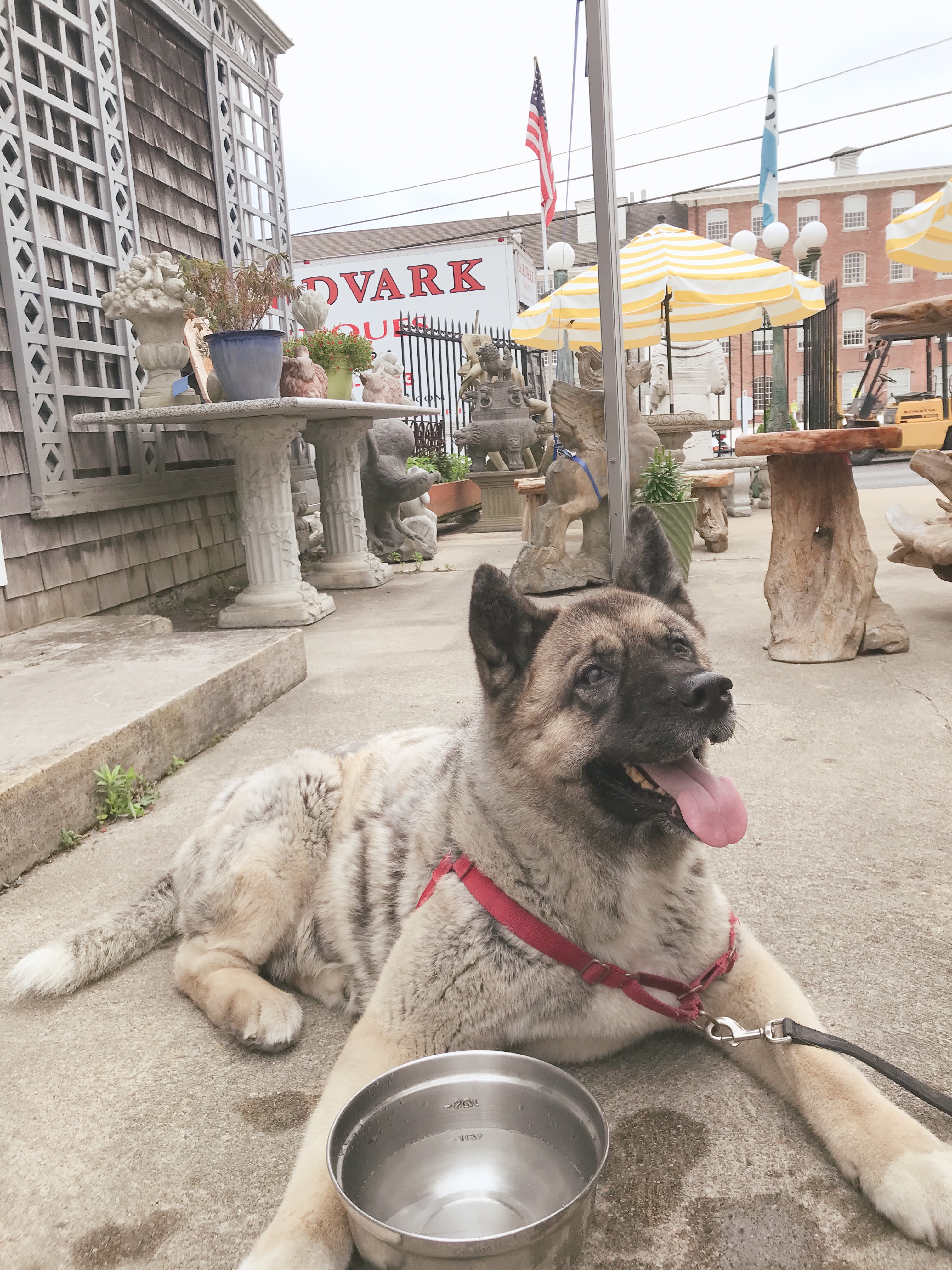 d4ab076b-8218-4d0c-a9b6-b67e84a7d1c7